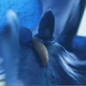 Image for article titled Upstream Color is the first masterpiece of the year